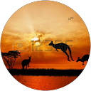 Ahmad Arshad profile picture